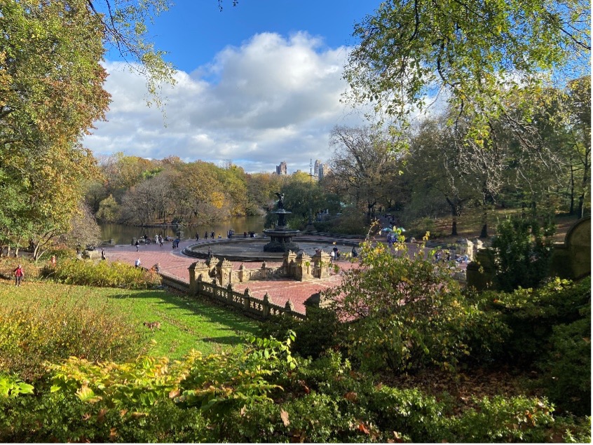 Central Park 